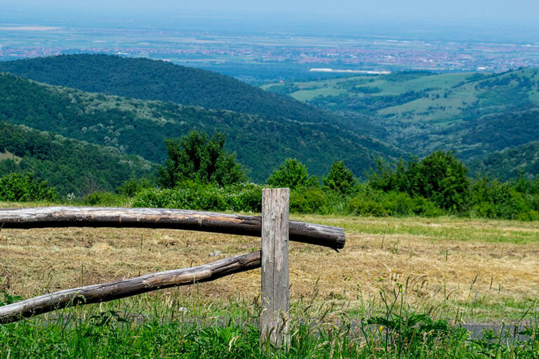 nacionalni park fruska gora, odmaraliste zmajevac